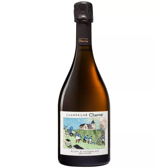 Chavost Blanc d'Assemblage Brut Nature Champagnerflasche, Vorderansicht
