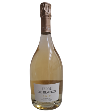 MICHEL ARNOULD Blanc de Blancs Grand Cru Verzenay Jahrgangs Champagner 2017
