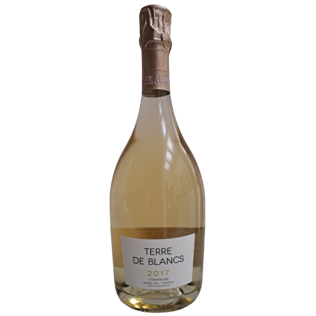 MICHEL ARNOULD Blanc de Blancs Grand Cru Verzenay Jahrgangs Champagner 2017