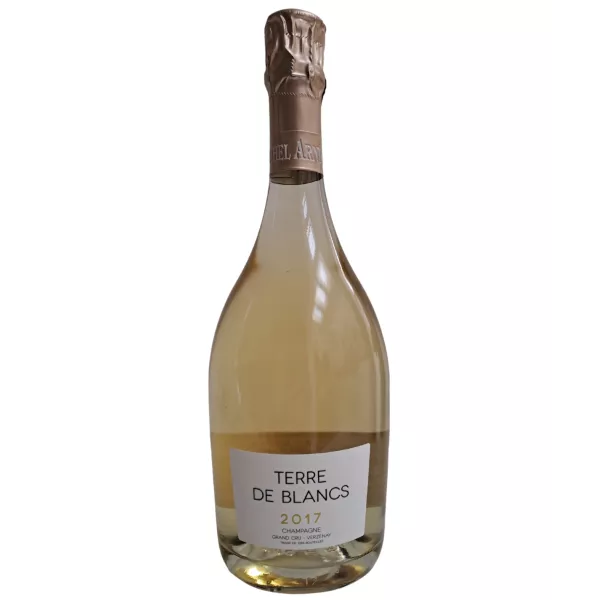 Michel Arnould Blanc de Blancs Grand Cru Verzenay 2017 Champagnerflasche, Vorderansicht