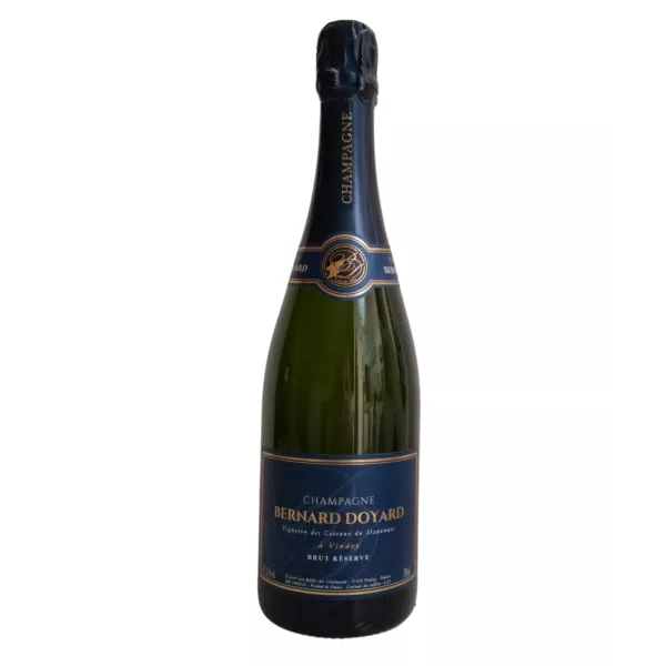 Bernard Doyard Brut Réserve Blanc de Blancs Champagnerflasche, Vorderansicht