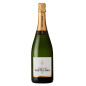 Castelnau Champagner Brut