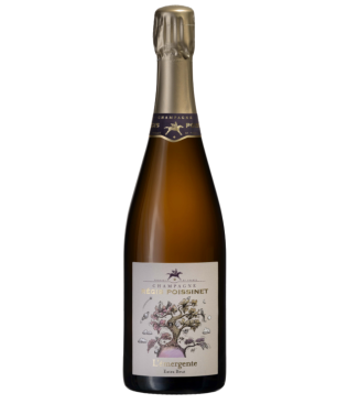 Flasche Champagner Poissinet L'Émergente - Biodynamische Cuvée Vallée de la Marne