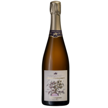 Flasche Champagner Poissinet L'Émergente - Biodynamische Cuvée Vallée de la Marne