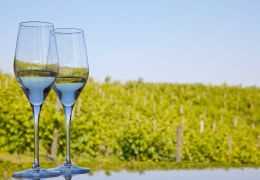 Champagner ohne zugesetzte Sulfite: Mythen, Fakten und Auswahl