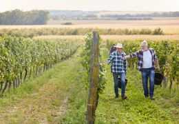 Eine kurze Lektion: Die Champagnerregion