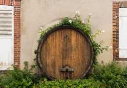 Grundwein-Gärung im Champagner-Anbau: Der Einfluss von Eichenfässern vs. Edelstahltanks