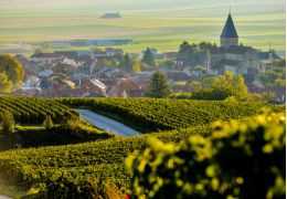 Was ist ein Champagne de Vigneron und wie wählt man ihn aus?