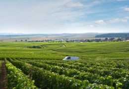 Winzerchampagner vs. Große Marken: Was passt zu Ihrem Anlass?